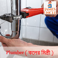 Plumber Mr. Tapan Pramanick in Kestopur